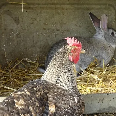 La Saubolle A Marciac
