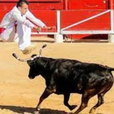 Nyaraló La Saubolle A Marciac