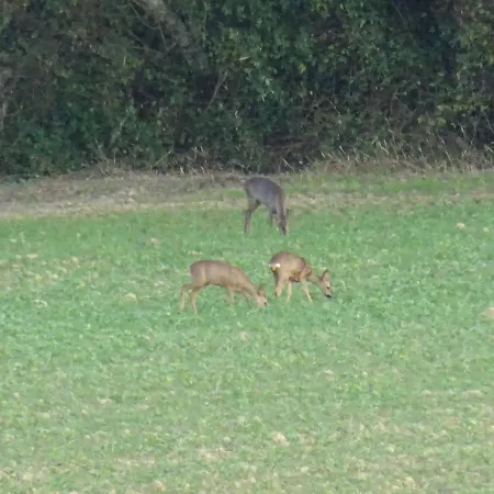 Nyaraló La Saubolle A Marciac