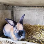 Hébergement de vacances La Saubolle à Marciac