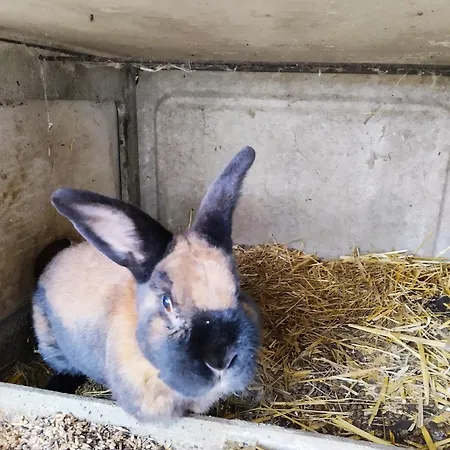 Holiday home La Saubolle A Marciac