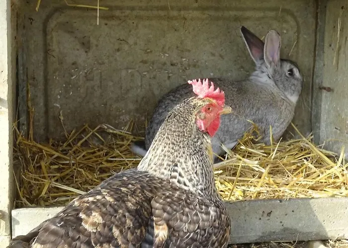 La Saubolle A מרסיאק