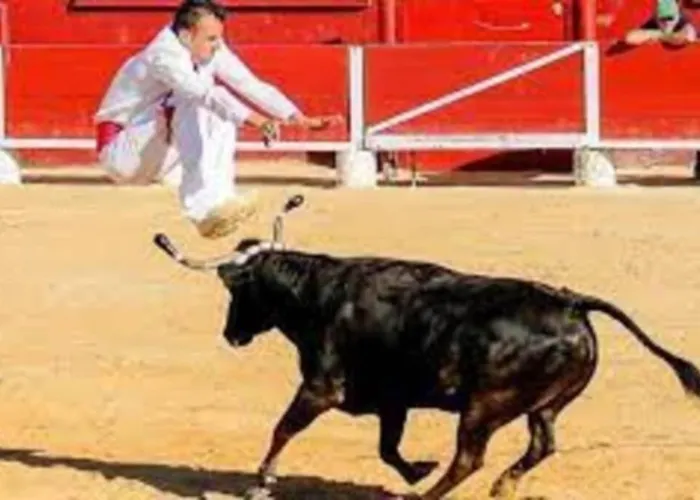 בית נופש La Saubolle A מרסיאק