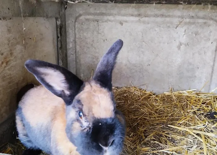 度假居 La Saubolle A 玛西亚克